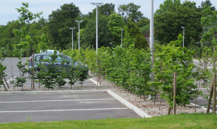 Aménagement d'espaces verts, parking, création de jardin pour les professionnels - Morisseau Paysagistes Nantes