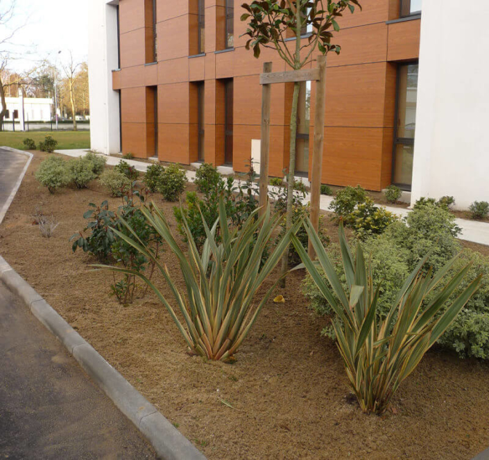 Aménagement d'espaces verts, extérieur, création de jardin pour les professionnels - Morisseau Paysagistes Nantes