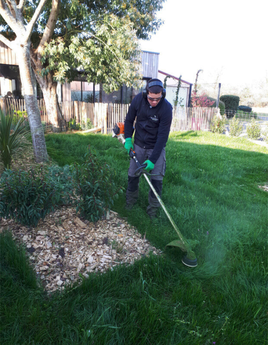 Entretien des plantes, taille d'arbustes, tonte pelouse, entretien de jardin pour les particuliers - Morisseau Paysagistes Nantes