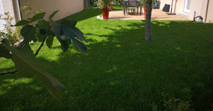 Entretien des plantes, taille d'arbustes, tonte pelouse, entretien de jardin pour les particuliers - Morisseau Paysagistes Nantes